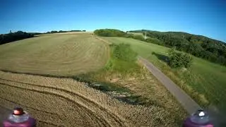 FuriBee GT 215 Fire Dancer - FPV Flug auf der Heide in 4K