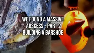 We Found a Massive Abscess! Part 2 - Building a Barshoe For My Wife's Horse