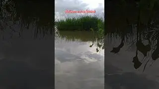 View | spot mancing yang istimewa dan aduhai #views #shorts