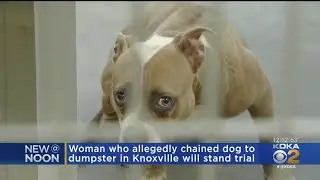 Woman Who Abandoned Dog At Dumpster To Stand Trial