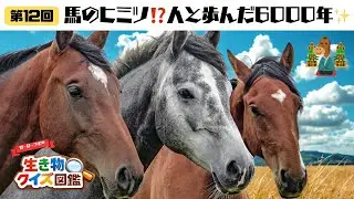 【動く図鑑‼️ウマ編✨】馬のひみつが全部わかる！人と歩んだ6000年｜干支2026＃12