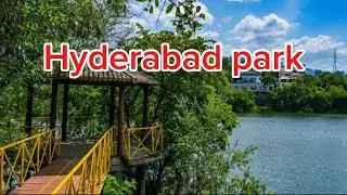 Hyderabad lotus pond park #hyderabad #lotus #Hyderabad #park