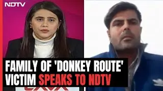 Why Do People Choose To Take 'Donkey' Route Despite Danger? Family Of Victim Tells NDTV