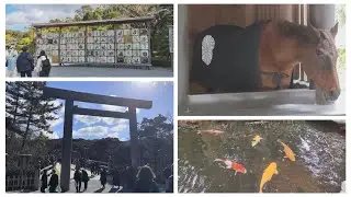 謹賀新年！今年の初動画は伊勢神宮内宮から！　皆さんにとって2026年は素敵な一年になりますように＾＾