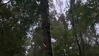 The deer are movin good(Bucks fighting?!?)