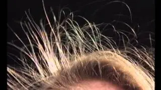 Sci Eye Static Electricity S096LS46 S120LS46