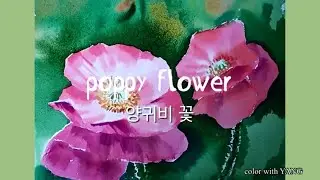 양귀비 / 수채화 그림 / watercolor / poppy / winter art / flower art / picture