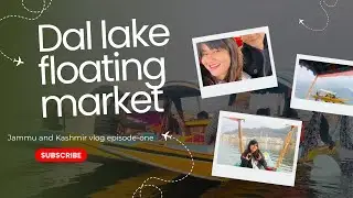 Local Life on Dal Lake | Floating Market Vlog #opencamerabyfauzia #kashmir #pahalgam #yt #youtube 