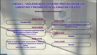 Violencia de género, privación de la libertad y resiliencia: el caso de México