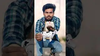 Remote Control Cow unboxing testing Video #shorts #cow #shortvideo