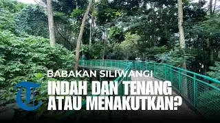 Menyusuri Babakan Siliwangi yang Tenang,  Namun Kadang Menakutkan | TRAVELING