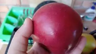 Azi am recoltat c&acirc;teva soiuri de mere și pere