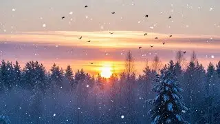 Fall Asleep in Minutes 🌙 Soft Piano Music to Calm the Mind & Stop Overthinking