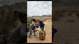 Trump destroyed dhol Putin feel disturbing #shortsfeed# ai #satire #usa #gold