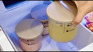 Customize for allergy diet needs? BLACK+DECKER Perfect Pint Ice Cream Maker at home Gelato Sorbet