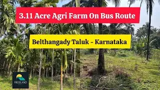 3.11 Acre Agri Farm On Bus Route For Sale Belthangady Karnataka Agricultural Commercial 