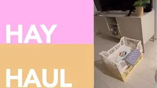 【HAY】HAY購入品👩‍🦰🤎 / 初めて投稿 / ライスペーパーシェード組み立て/ 可愛いカラーの小物を購入しました🌞