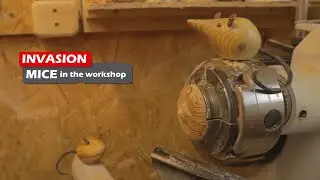 invasion! Mice in the workshop