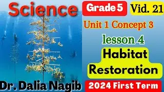 Science Grade 5 Concept 3 lesson 4 Habitat Restoration    2024  ساينس خامسة ابتدائى  الترم الاول