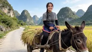 🌿 The women in the village harvest rice and make meat-filled pastries.