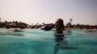 Swim with Dolphin- Water experience in UAE