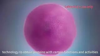 Recombinant proteins expression in E.coli Pichia Sf9, Sf21, HighFive,CHO cell system ChinaPeptides