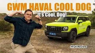 The Haval Cool Dog Is a Stylish Compact SUV