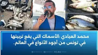تسبّبت فيه العاصفة الأخيرة: هل اختلاط الأسماك التي وقع تربيتها مع البحرية يسبب تلوثا جينيا؟