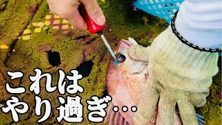 【ここまでするか】漁師や海の男達のリアルを見て下さい。