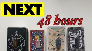 The NEXT 48 HOURS. Timeless Pick a card tarot reading.