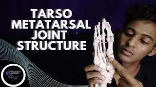 TARSO METATARSAL JOINT STRUCTURE(ANKLE JOINT BIOMECHANICS)Physiotherapy Tutorials