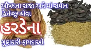 માં સમાન હરડેના ગુણકારી ફાયદાઓ Benefits Of Harde Harde Na Fayda  Himej na Fayda Harde Ke Labh #food