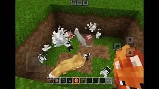 Minecraft Fox and Cat Attack Rabbit