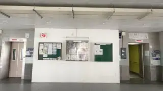 Video Cut - Interesting Fujitec elevators at Block 495E Tampines