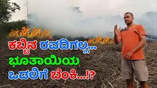 ಕಡಿಮೆ ಖರ್ಚಿನಲ್ಲಿ ಕುಳೆ ಕಬ್ಬಿನ ಇಳುವರಿ ಹೆಚ್ಚಳ | Kadime kharchalli kule kabbina iluvari hechhala #2023