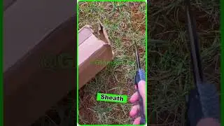 Multitool Self Defense Knife