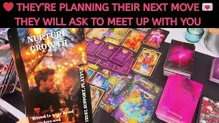 ❤️Their Planning Their Next Move 💌 They Will Ask to Meet Up With You #tarotlovereading #tarot #love