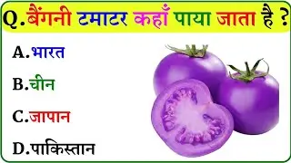 GK Questions || GK In Hindi || GK Questions Answers || GK Quiz || CRICO || 