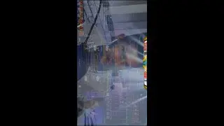 ! ! ! MUST WATCH UNTIL THE END ! ! ! [ Yugioh Duel Links  ]
