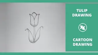 How to Draw a Cartoon Tulip Flower | Tulip Flower Step by Step Drawing Tutorial