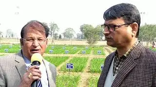 डी बी डब्ल्यू #303 और डी बी, डब्ल्यू #222 से कैसे लें भरपूर पैदावार : डॉ. ज्ञानेंद्र प्रताप सिंह 