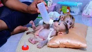 Very Pity Baby RoJo Have Problem With one Hand, Pity Mother Help rescue Him