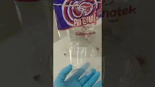 Copo Bolha G677 Com Tampa 250ml Pacote Com 50 Cj