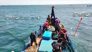 Purse Seine Net, Unexpectedly Catching So Many Swordfish, Fishermen's Catch is Extraordinary
