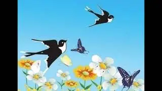 小燕子 - Little Swallow - Traditional Chinese Song