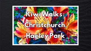 Kiwi Walks: Christchurch, Botanical Gardens & Hagley Park - New Zealand Spring Walk - 4K