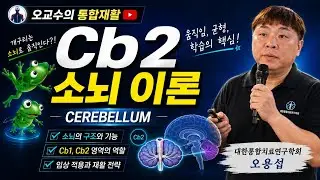 신체부위별 신경재활 집중실습 6주차 이론 #cerebellum