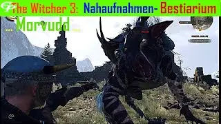 The Witcher 3 / Nahaufnahmen: Morvudd