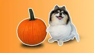 Вы никогда не видели такой милой резьбы по тыкве 😭🎃