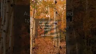 #autumn #quote #autumncolors #quotes #fall #fallvibes #chill